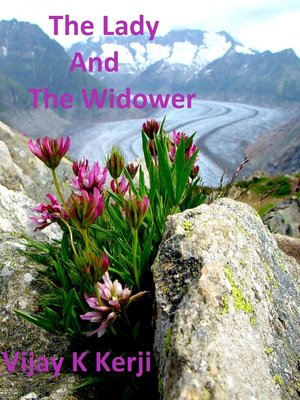 cover image of The Lady and the Widower